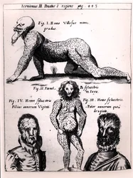 Homme velu et homme sauvage, illustration de Physica Curiosa par Gaspar Schott