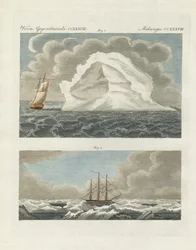 Icebergs et champs de glace