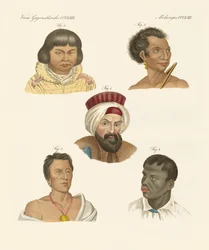 Illustration des principales races humaines