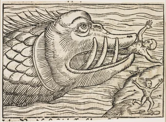 Jonas et la baleine