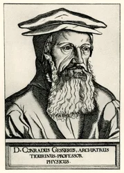 Conrad Gessner