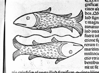 Les Poissons - dans le Traité de Johannes Angeli De Magnisconnectionibue annorum revolutionibus ac eorum perfectionibus. Augsbourg, Erhard Ratdolt