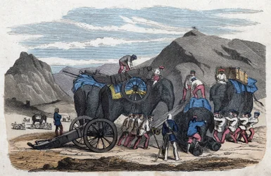 Chargement des éléphants pour le voyage de M. Bock à Dresde. Dans « Wenn Jemand eine Reise thut, so kann er was erzählen », conte allemand de Franz Wiedemann