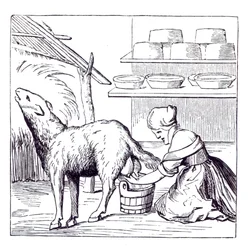 Fabrication de fromages en Suisse, d