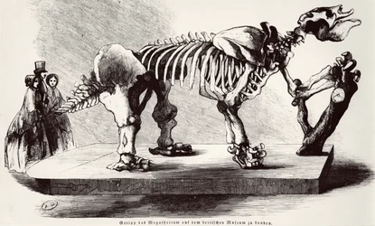 Squelette de Mégathérium au British Museum
