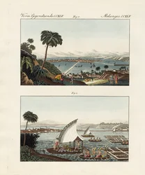 Mexico avec ses décors et jardins flottants (gravure en couleur)