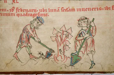 Ms 54 f.37 Février : Binage, Psautier cistercien
