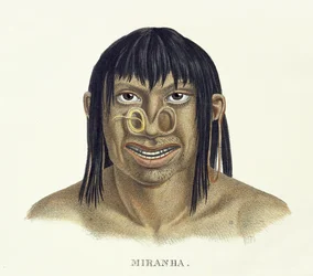 Homme natif de la tribu Miranha, avec décoration nasale, de l