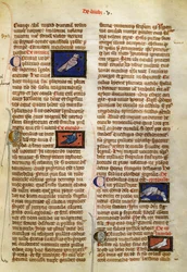 Page de De Natura Rerum sur les oiseaux, par Albertus Magnus