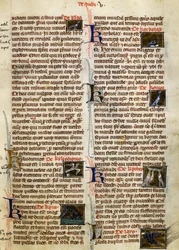 Page de De Natura Rerum sur les oiseaux, par Albertus Magnus