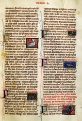 Page de De Natura Rerum sur les oiseaux, par Albertus Magnus