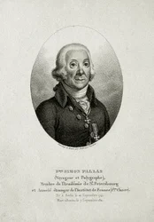 Peter Simon Pallas. (1741 – 1811)
