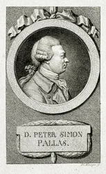 Peter Simon Pallas (1741 – 1811)