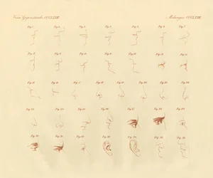 Expression physionomique de l