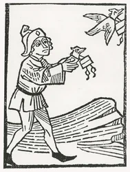 Poste de pigeons