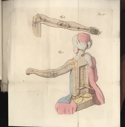 Planche V de Uber den Schachspieler des Herrn von Kempelen und dessen Nachbildung, publié par Joseph Friedrich Freiherr von Racknitz, Leipzig und Dresden: Joh. Gottl. Breitkopf, 1789