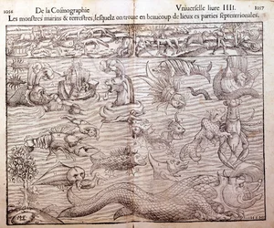 Planche représentant tous types de monstres marins et terrestres trouvés dans les régions nordiques : Xylographie tirée de la « Cosmographie Universelle » de Sébastien Munster. Bâle