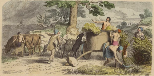 Vie rurale en Grèce antique (gravure en couleur)