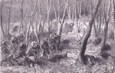 Escarmouche dans les bois à l