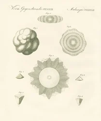Grêlons étranges