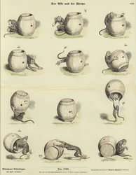 Le singe et la guêpe