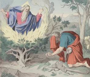 Le Buisson Ardent