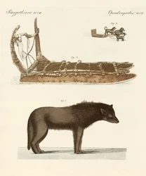 Le chien de la baie de Baffin