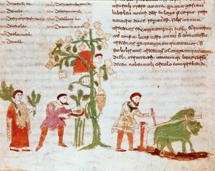 Les quatre saisons : scène de labour et de cueillette de raisins (vendanges). Miniature du manuscrit « De Universo » (ou De rerum naturis) par Raban Maur
