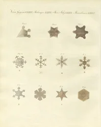 La neige avec ses cristallisations