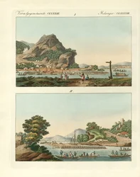Les étranges grands radeaux du Rhin