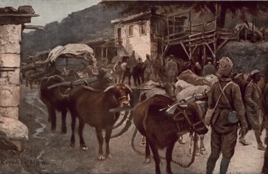 La Turquie dans la Première Guerre mondiale