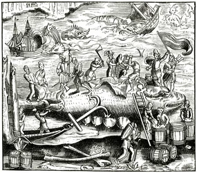 Pêche à la baleine, d