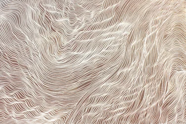 Voyage 298, 2010 (sable et acrylique sur toile)