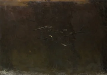 Poissons dans un aquarium