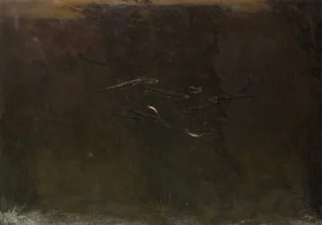 Les poissons dans un aquarium