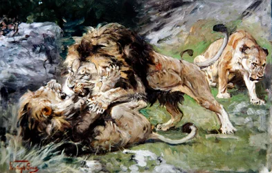 Lions de Barbarie se battant, c.1890