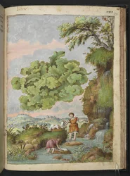 Lichen et deux femmes lavant des vêtements ou de la fourrure dans une piscine, de "Peintures de la flore des États romains" par Gherardo Cibo, Add MS 22333, f171r, c.1564-84