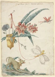 Motif floral avec chien et insectes