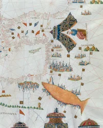 Carte nautique, détail du Grand Turc, 1564