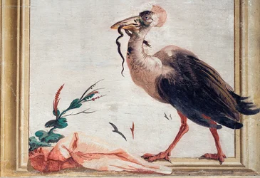Un casoar tenant un serpent dans son bec, de la salle chinoise dans la Foresteria, 1757