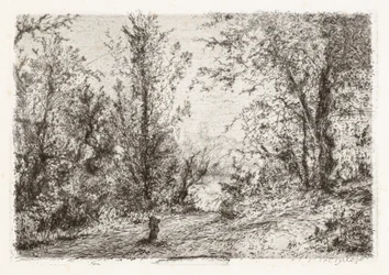 Forêt sur le Lac Majeur