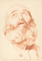 Tête d