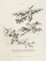 Étude de trois branches avec des feuilles (1er Cahier de paysage)