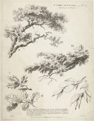 Étude de branches avec feuilles (1er Cahier de paysage)