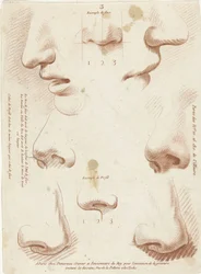 Feuille d