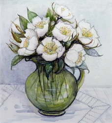 Roses de Noël, 1984