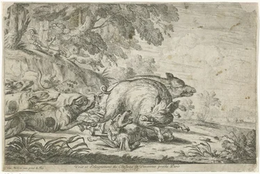 Chasse au sanglier