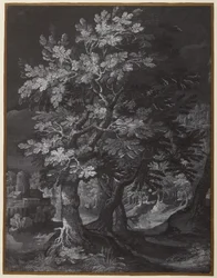Scène de forêt