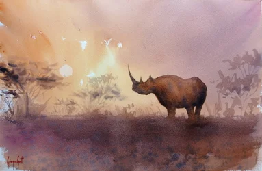 Coucher de soleil sur les rhinocéros d