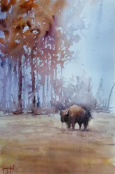Des bisons dans la brume d
